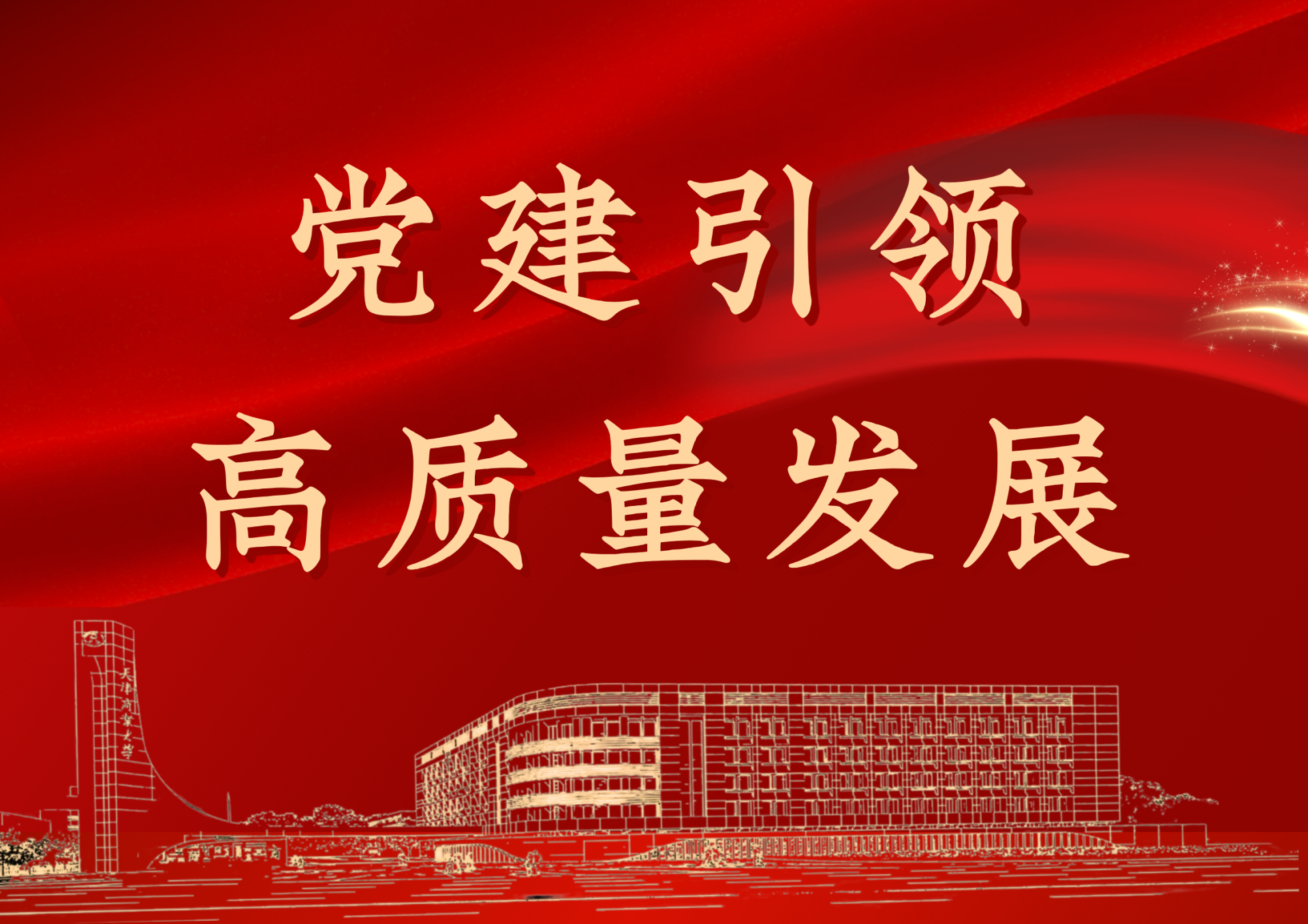 学校召开“高质量党建引领高质量发展”交流研讨会